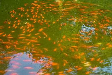 《古墓丽影》开发商水晶动力今年第二次裁员